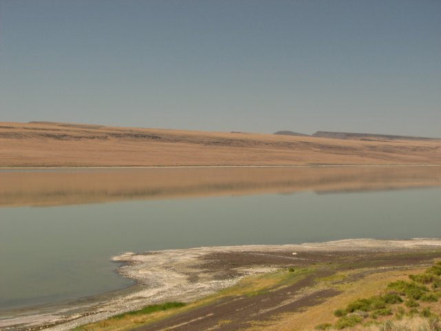 Abert lakeshore